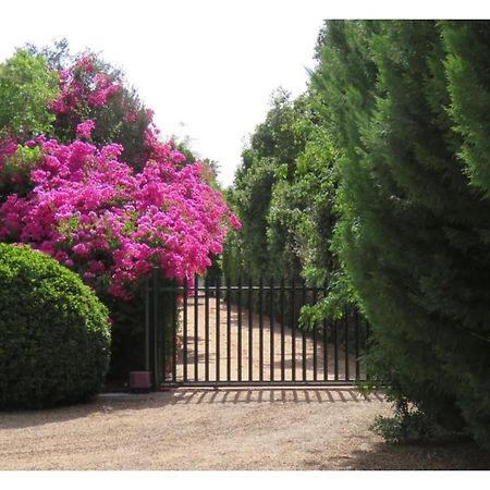Blue Mountain View Cottages Clanwilliam Bagian luar foto
