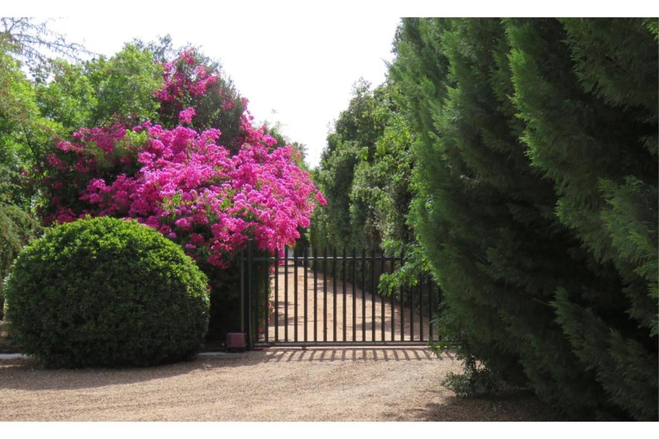 Blue Mountain View Cottages Clanwilliam Bagian luar foto